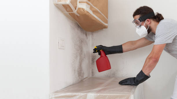 Professional Bathroom Mold Removal technician working in Murfreesboro, NC